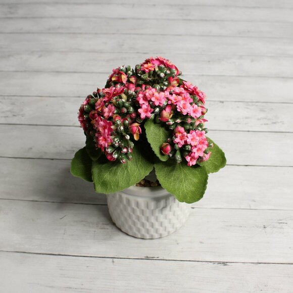 Pink Kalanchoe Artificial Silk Floral Arrangement Potted Flowers Ceramic Pot - Picture 5 of 7